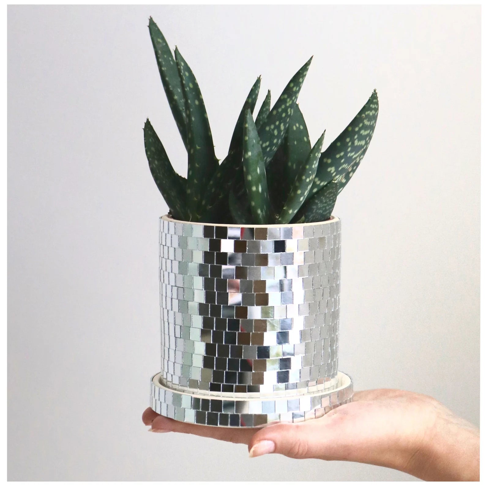 Disco Ball Planter – Pink Moon