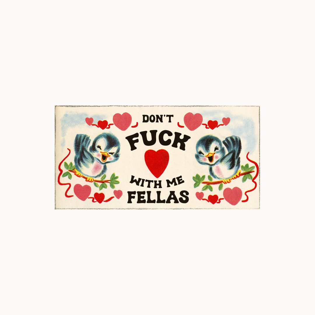 Don't Fuck With Me Fellas Sticker - Retro Birds Cute