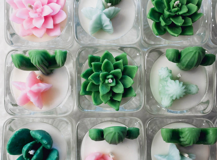 Mint Succulent Tealight Candles | Soy Blend / Bear Paw Succulent