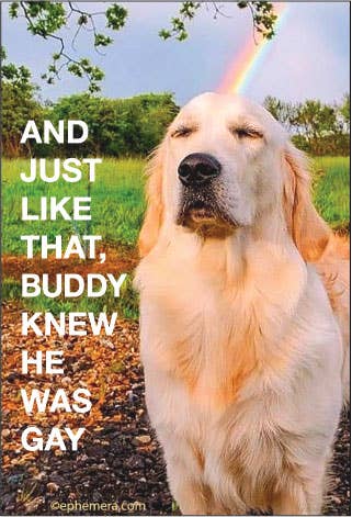 MAGNET: And just like that, Buddy knew