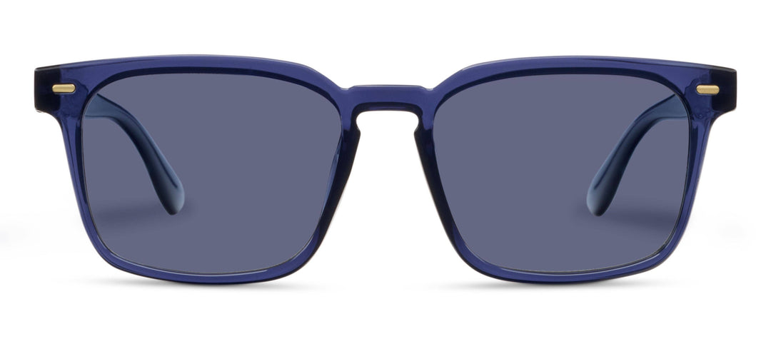 Shasta Sunglasses: Blue / No Correction / None