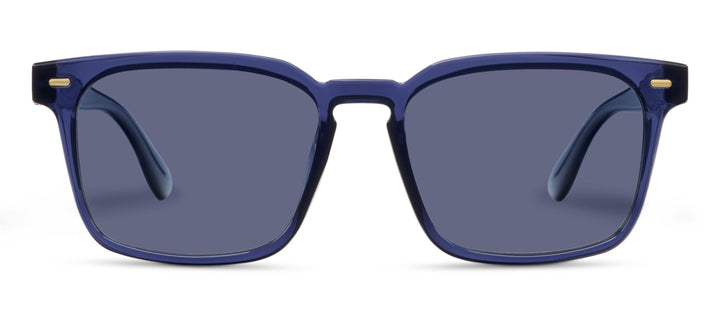 Shasta Sunglasses: Blue / No Correction / None