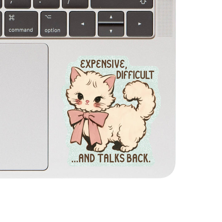 Expensive Difficult Kitty Cat High Quality Vinyl Sticker