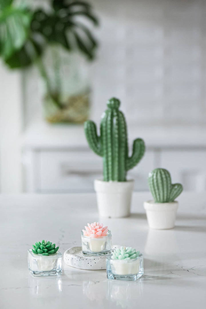 Mint Succulent Tealight Candles | Soy Blend / Bear Paw Succulent