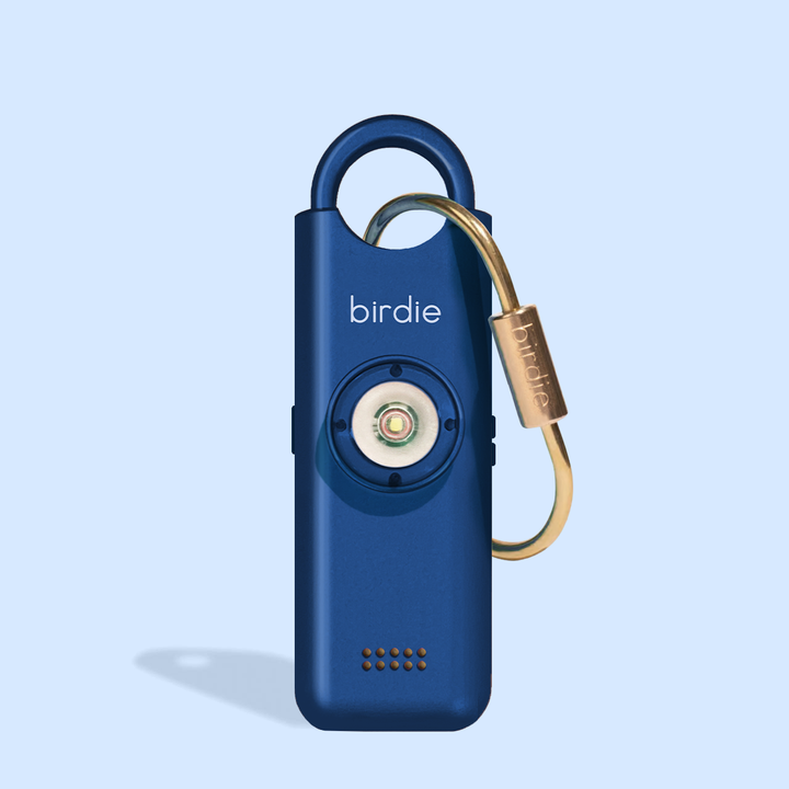 Birdie 3.0: Cheetah