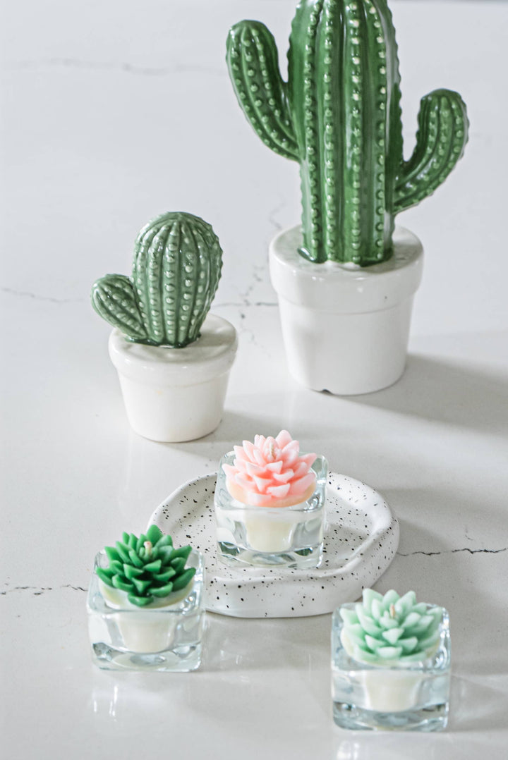 Mint Succulent Tealight Candles | Soy Blend / Bear Paw Succulent