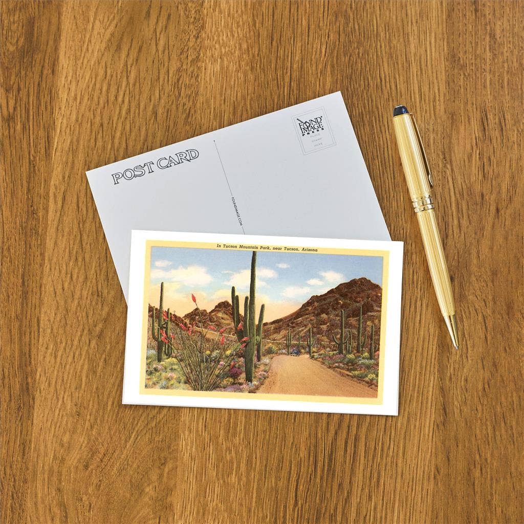 Postcard AZ-237 Saguaros and Ocotillo, Tucson