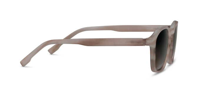 Sebastian Sunglasses: Chai Horn / No Correction / None