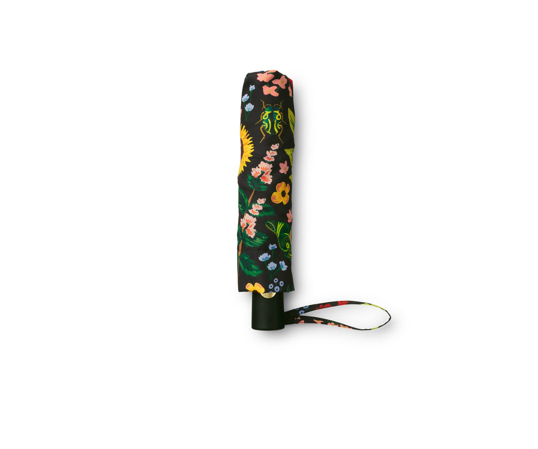 Curio Umbrella
