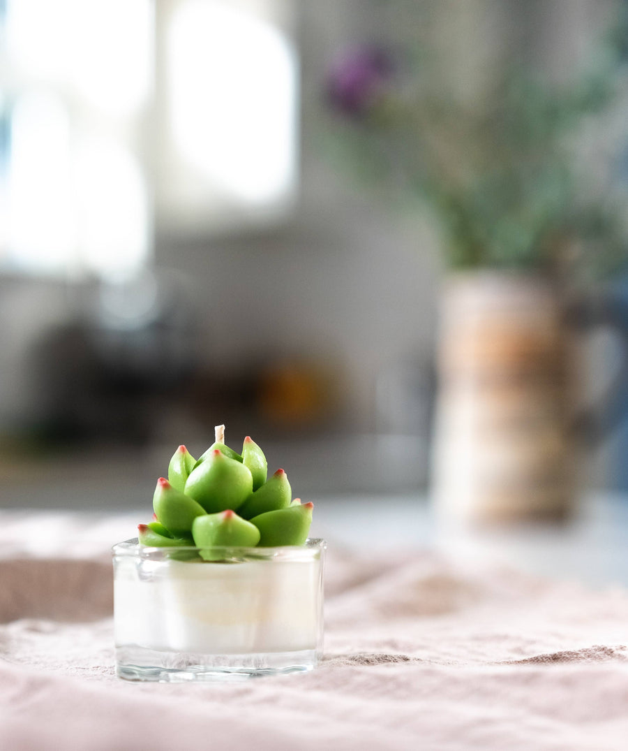 mini succulent candles Succulent Tealight Candles