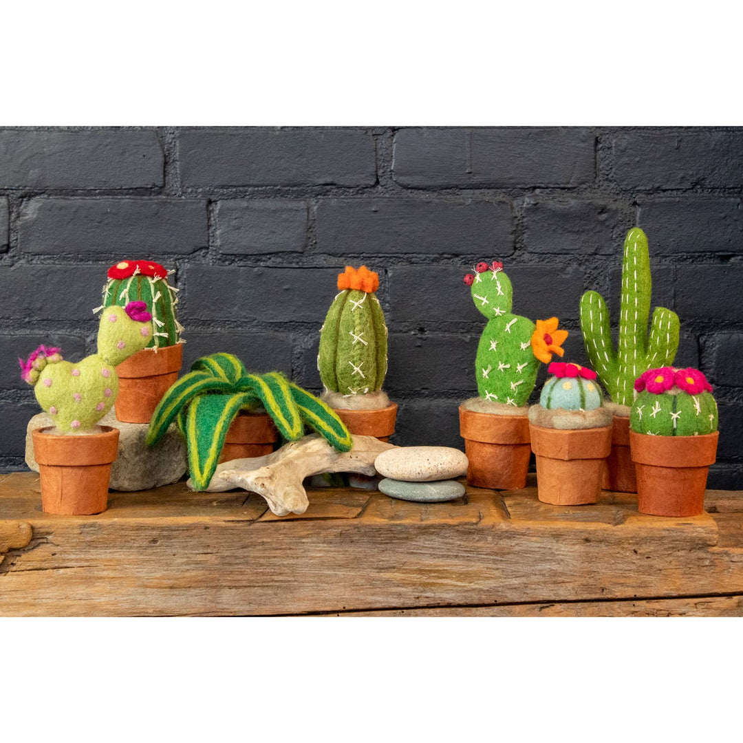 Small Prickly Pear Cactus