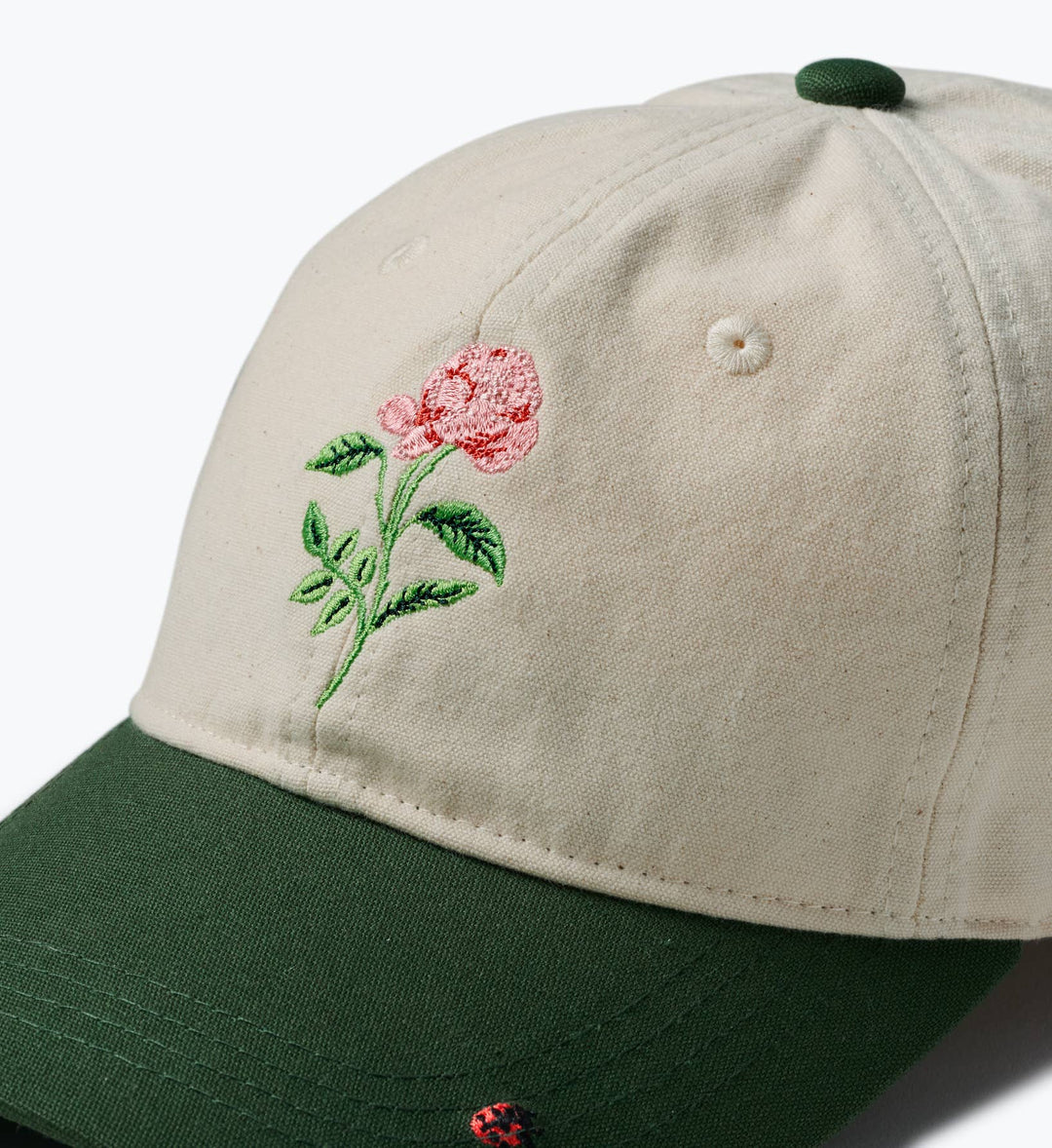 Garden Study Baseball Cap