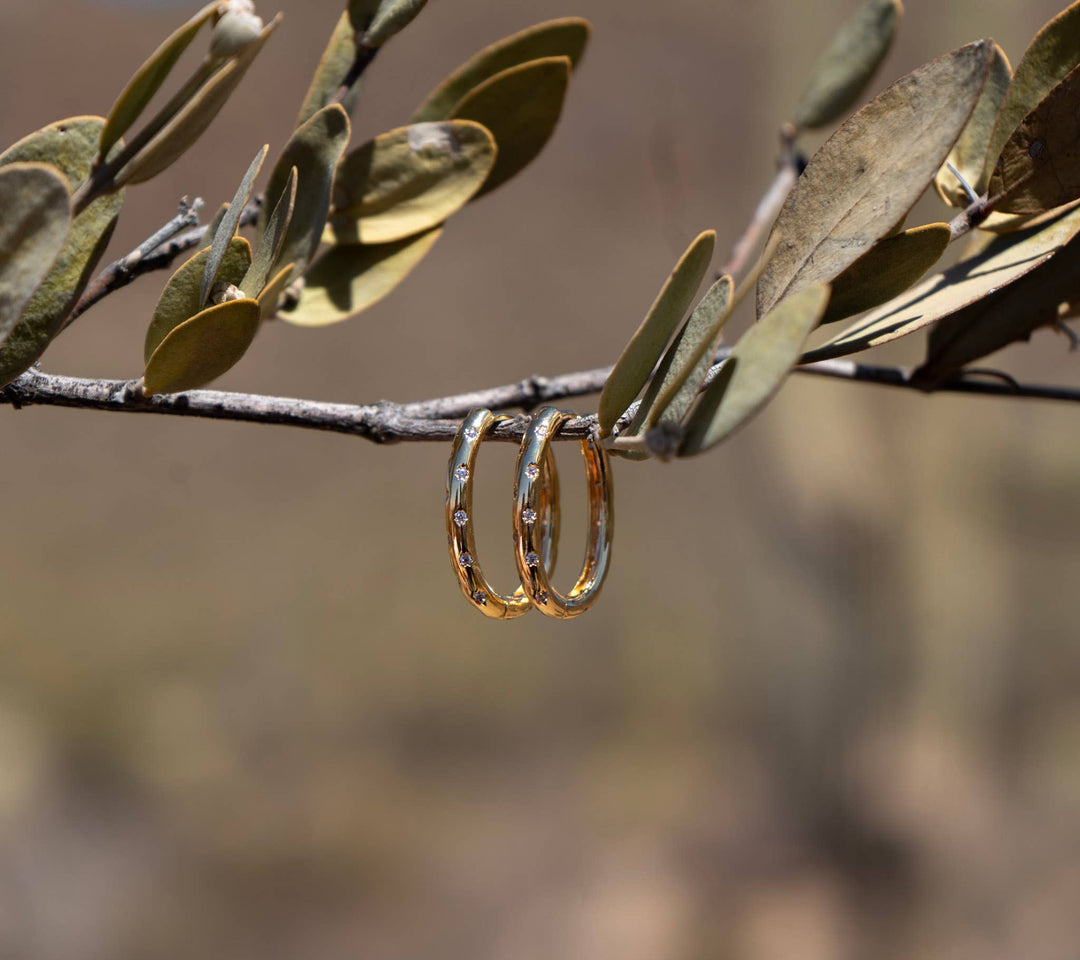 Gold Oval Hoops 