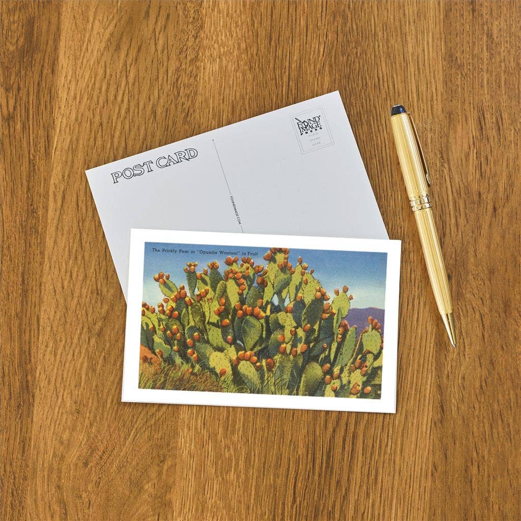 Postcard ZA-02 Prickly Pear Cactus in Fruit