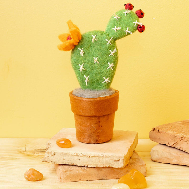 Small Prickly Pear Cactus