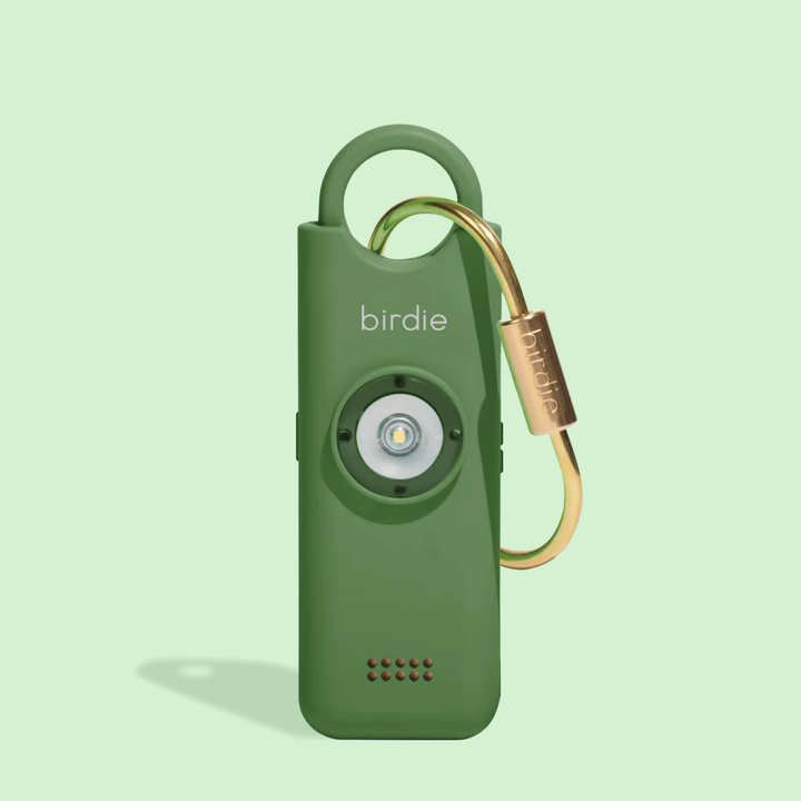 Birdie 3.0: Cheetah