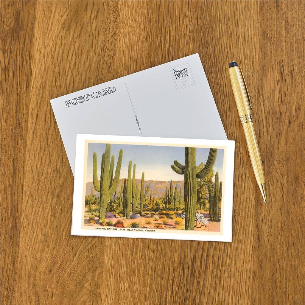 Postcard AZ-451 Saguaro National Park, Tucson