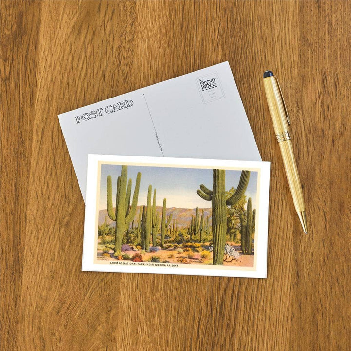 Postcard AZ-451 Saguaro National Park, Tucson