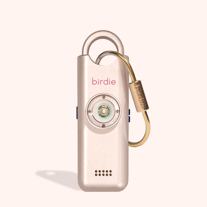 Birdie 3.0: Cheetah