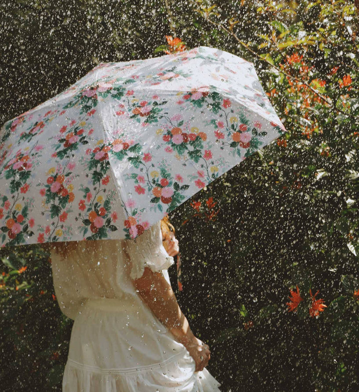 Dahlia Umbrella