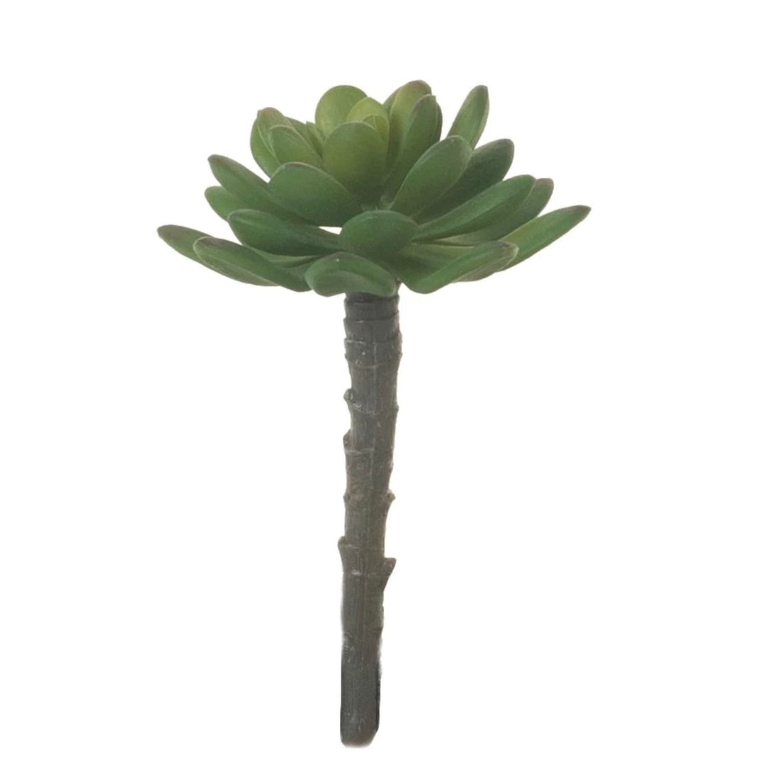 5" Single Stem Succulent