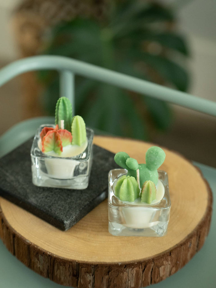 Bunny Ears and Fairy Castle Cactus Tealight Candles: Fairy Castle Cactus Tealight