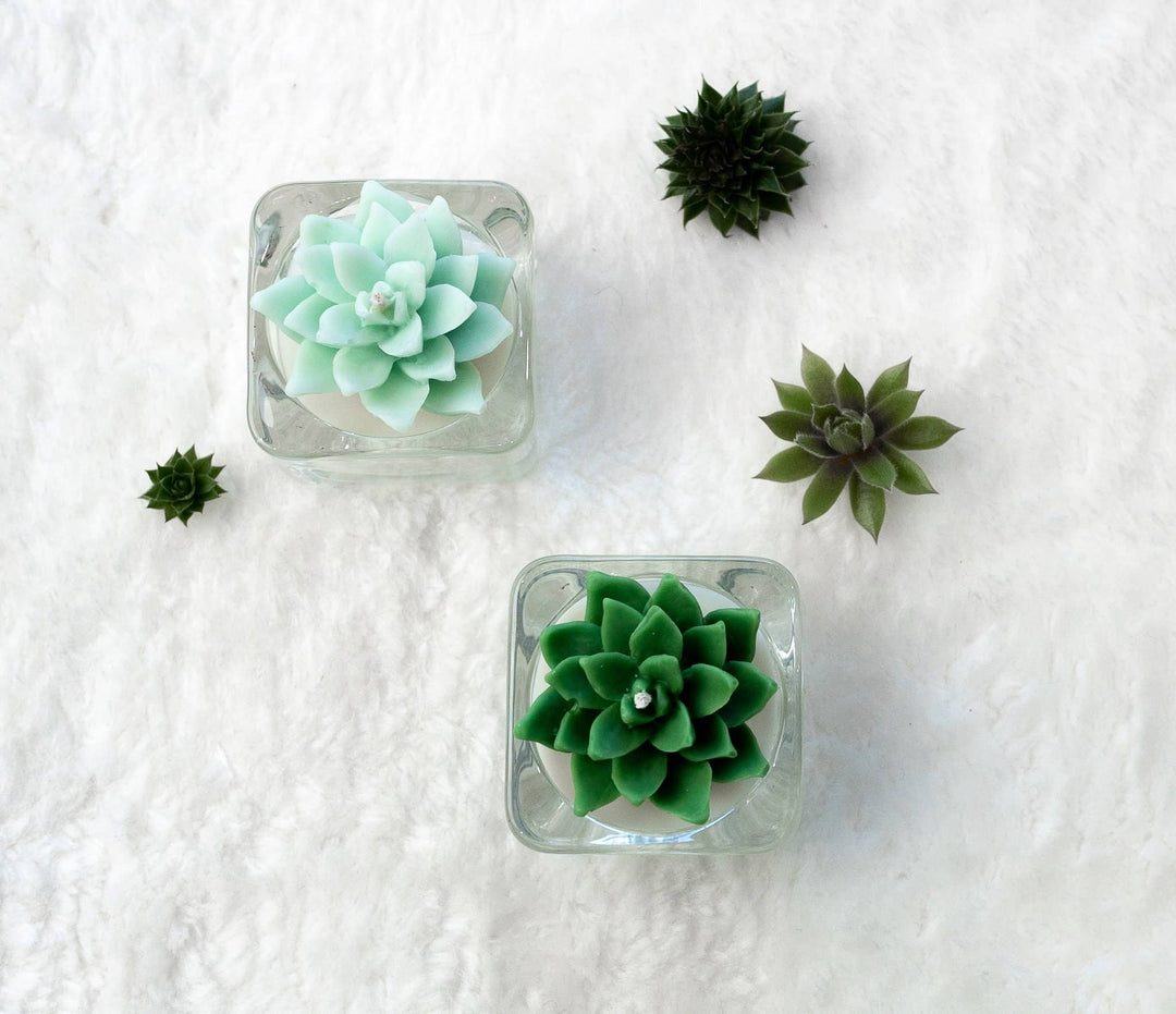 Mint Succulent Tealight Candles | Soy Blend / Bear Paw Succulent