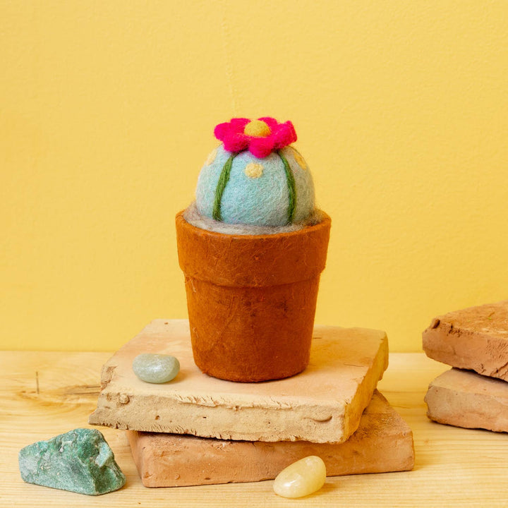 Small Peyote Cactus