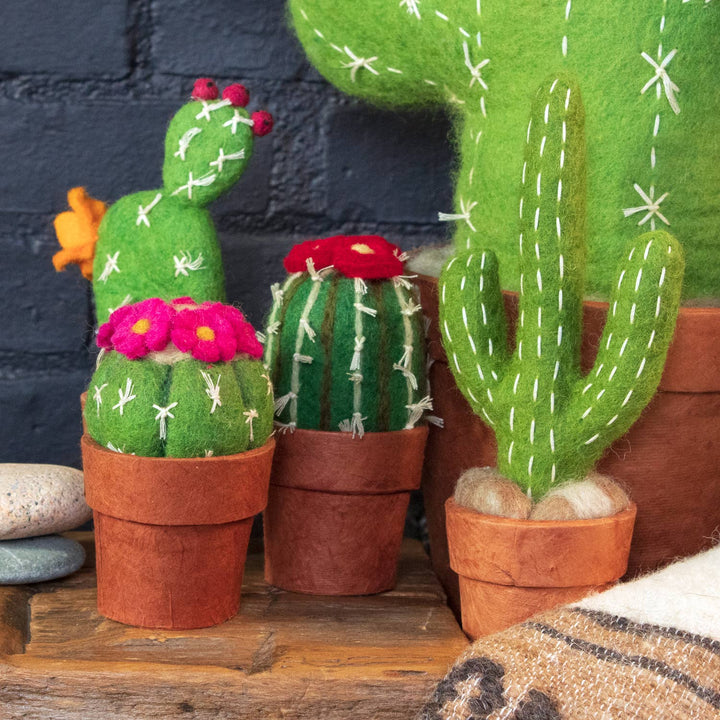 Small Prickly Pear Cactus