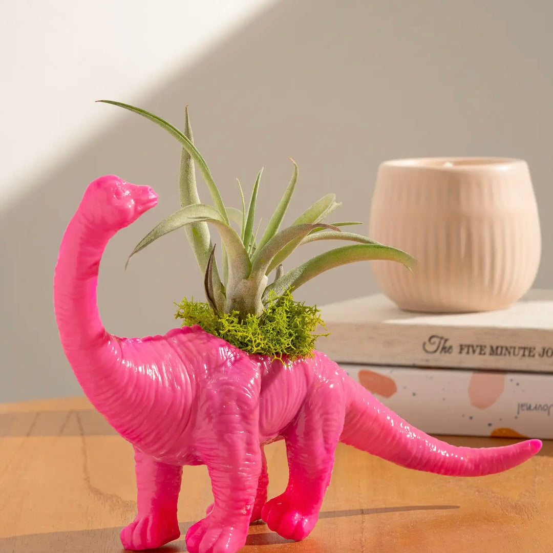 Magenta Dinosaur Brachiosaurus Planter with Air Plant
