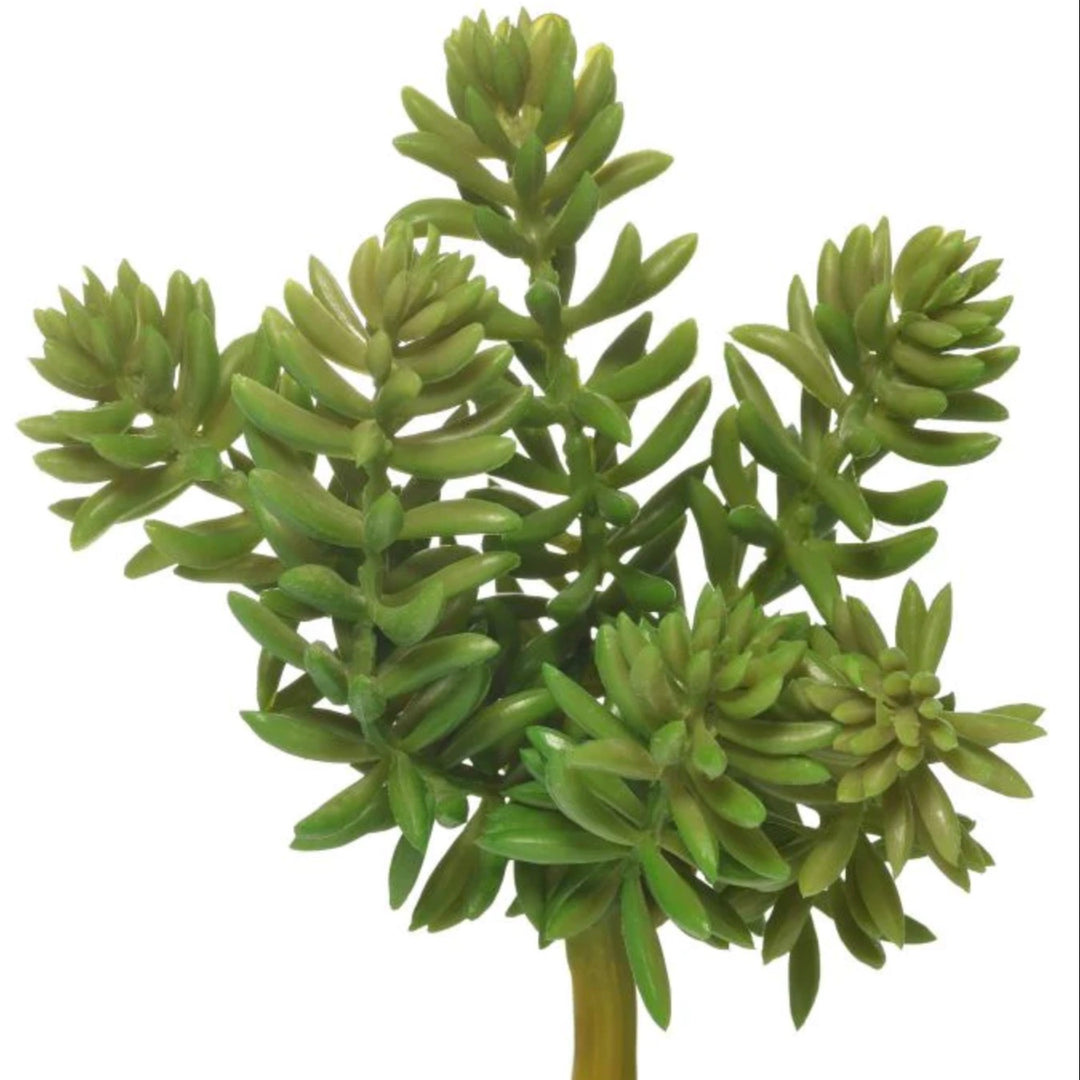 5" Succulent Pick
