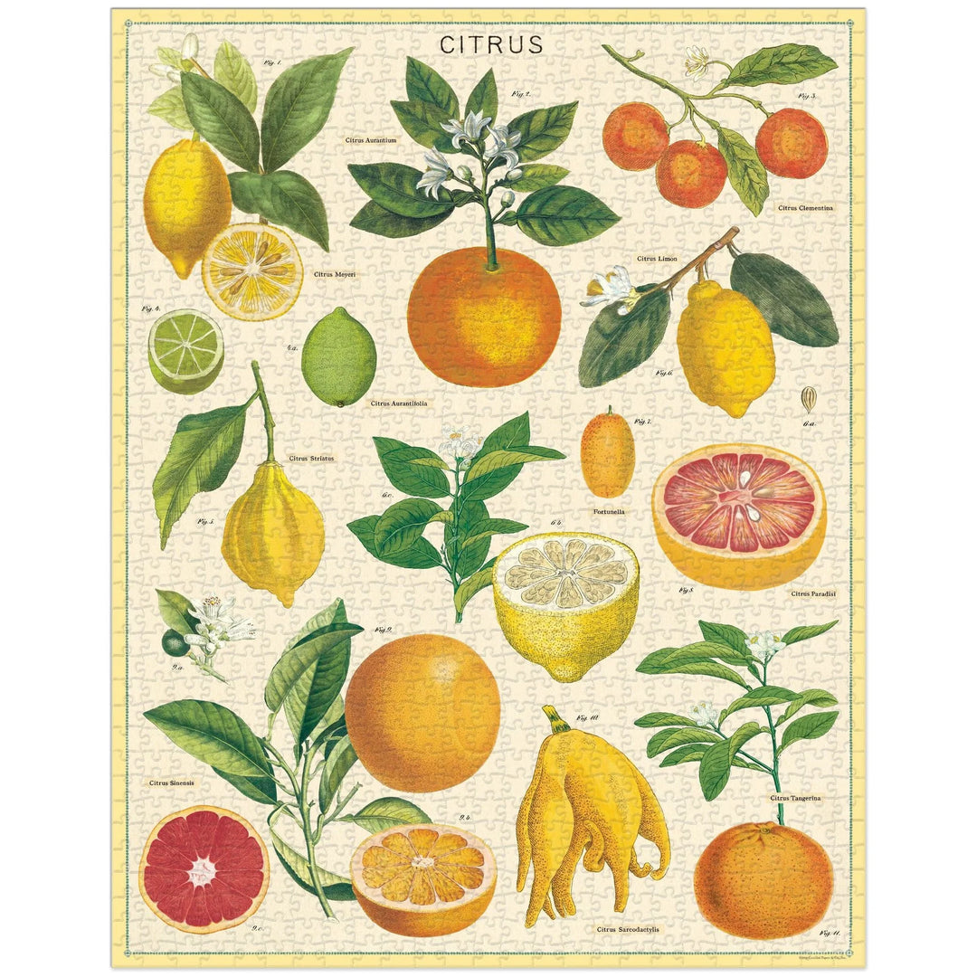 Citrus 1,000 Piece Puzzle