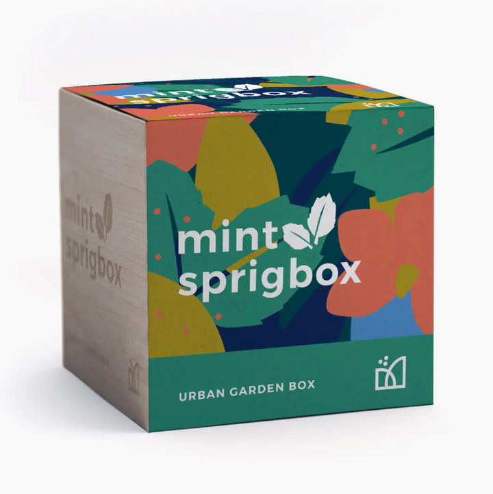 Mint Grow Kit | Wooden Planter Box | Indoor Herb Gardening