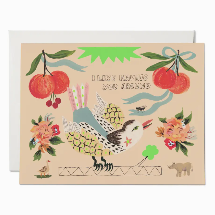 Bird and Fly Friendship Greeting Card