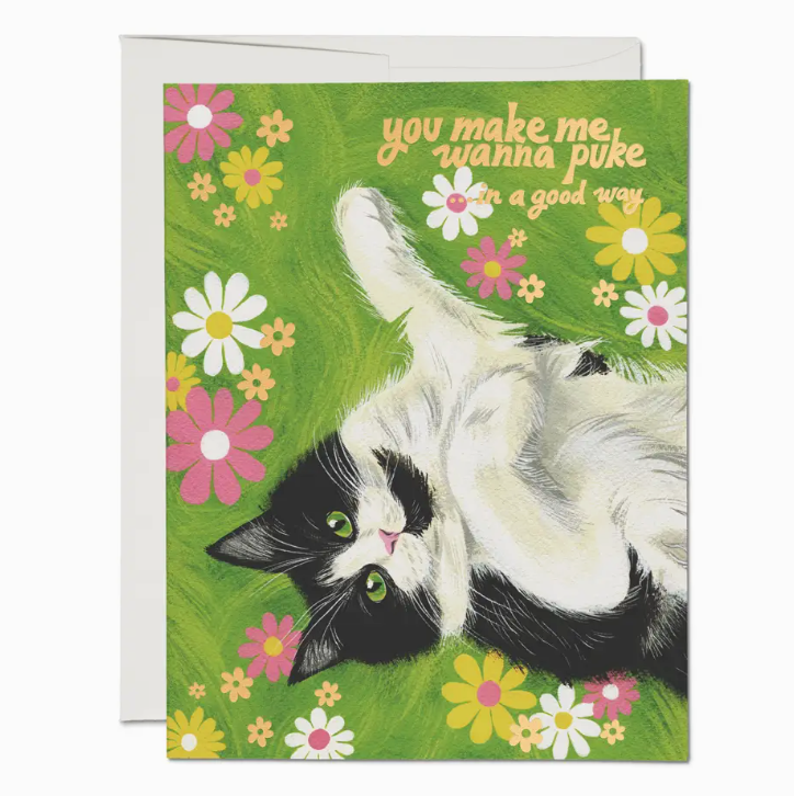 Nice Kitty Love Greeting Card
