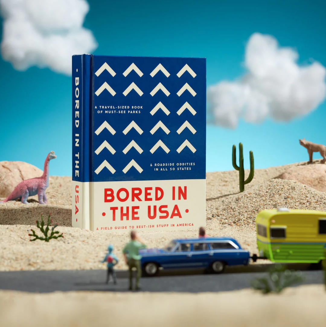Bored In The USA - Travel Guide Book