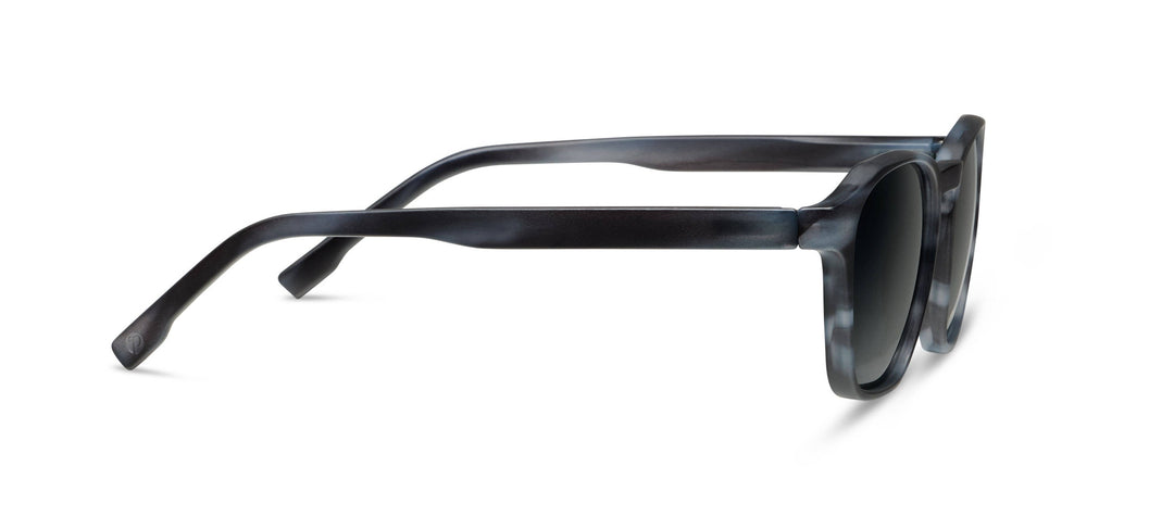 Sebastian Sunglasses: Chai Horn / No Correction / None