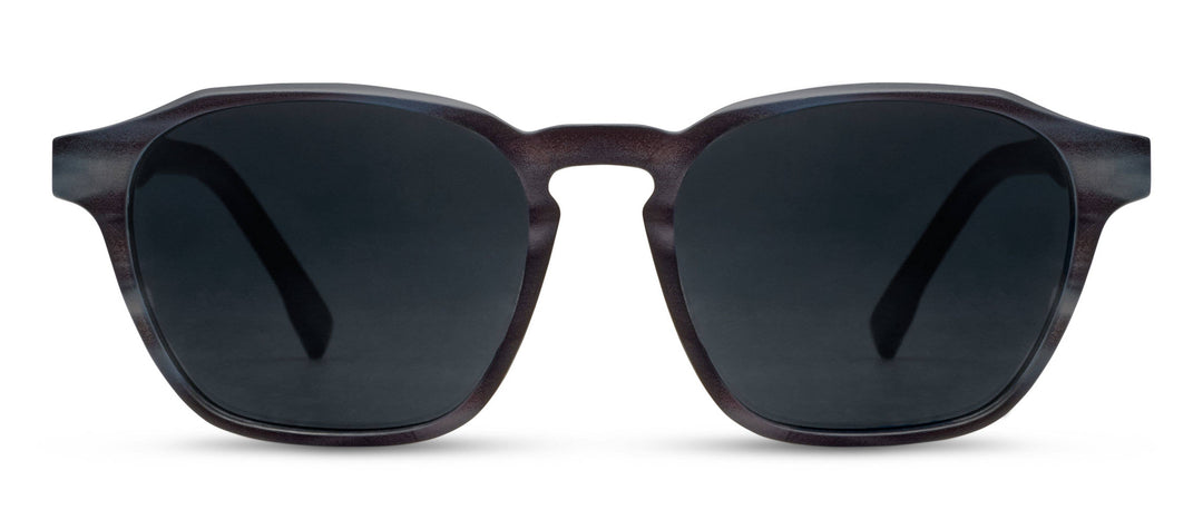 Sebastian Sunglasses: Chai Horn / No Correction / None