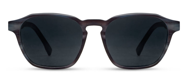 Sebastian Sunglasses: Chai Horn / No Correction / None