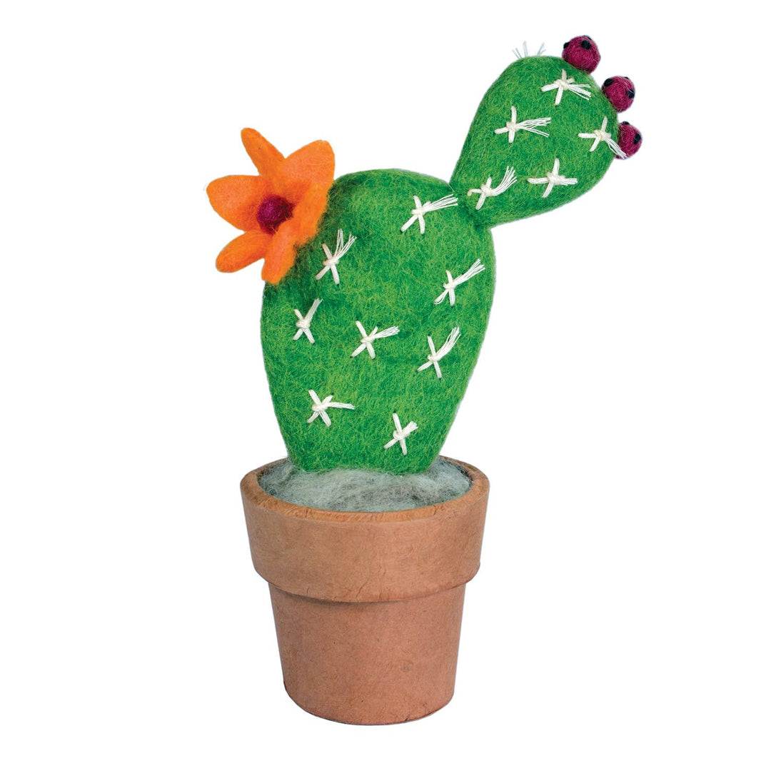 Small Prickly Pear Cactus
