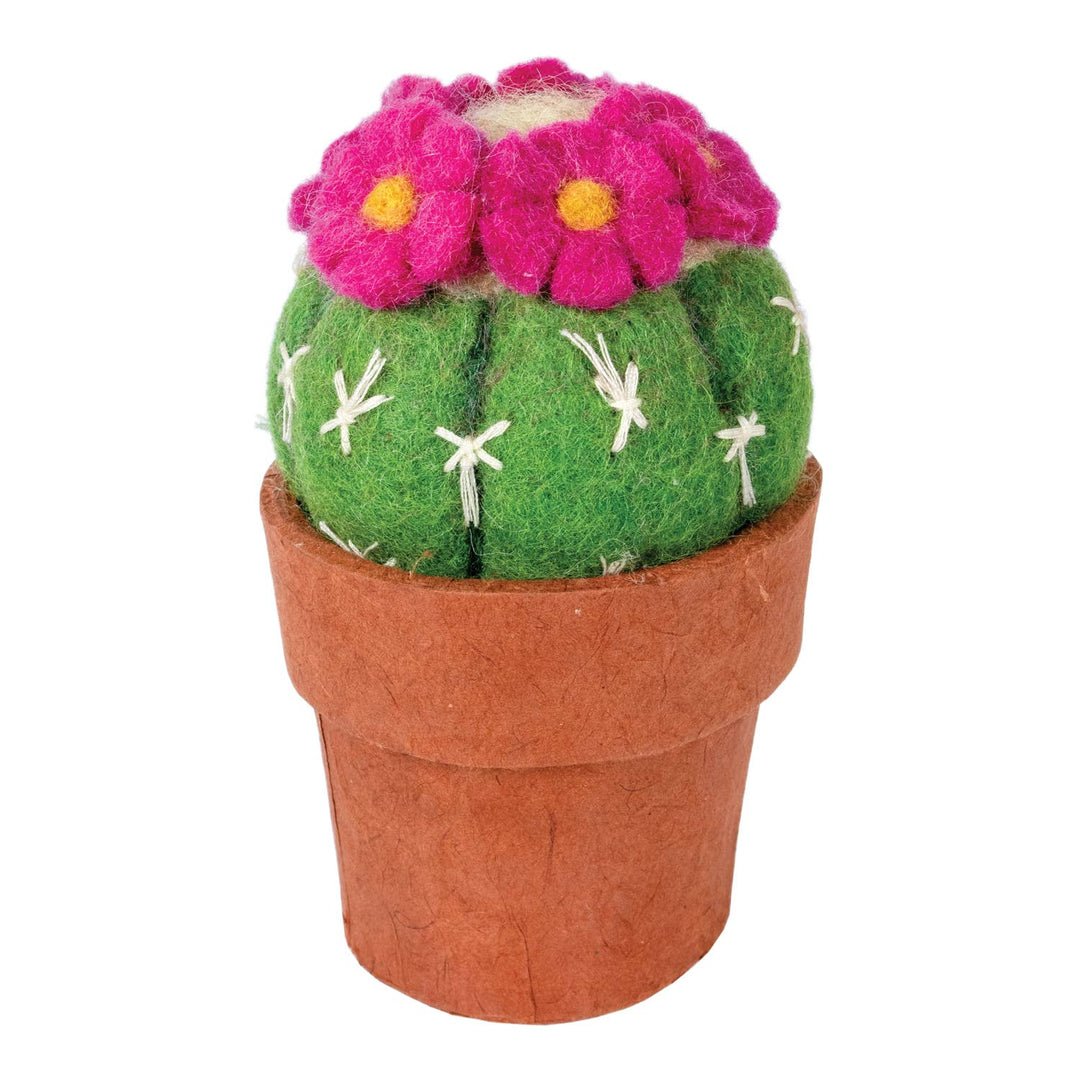 Small Pincushion Cactus