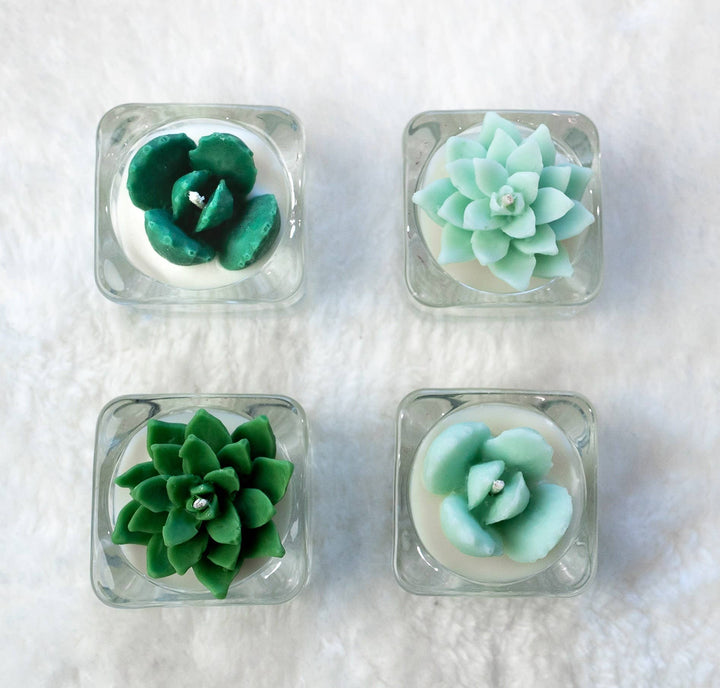 Mint Succulent Tealight Candles | Soy Blend / Bear Paw Succulent