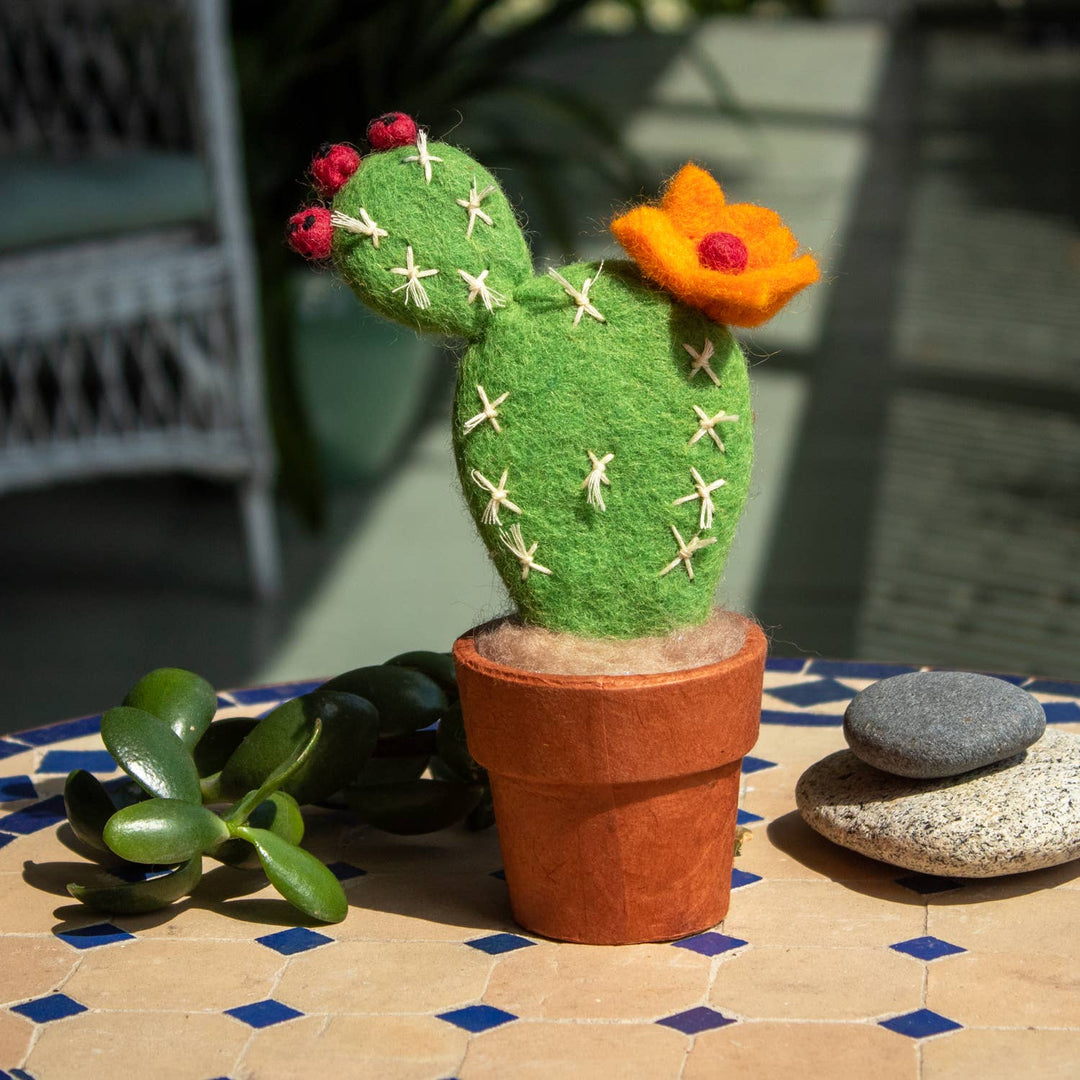Small Prickly Pear Cactus