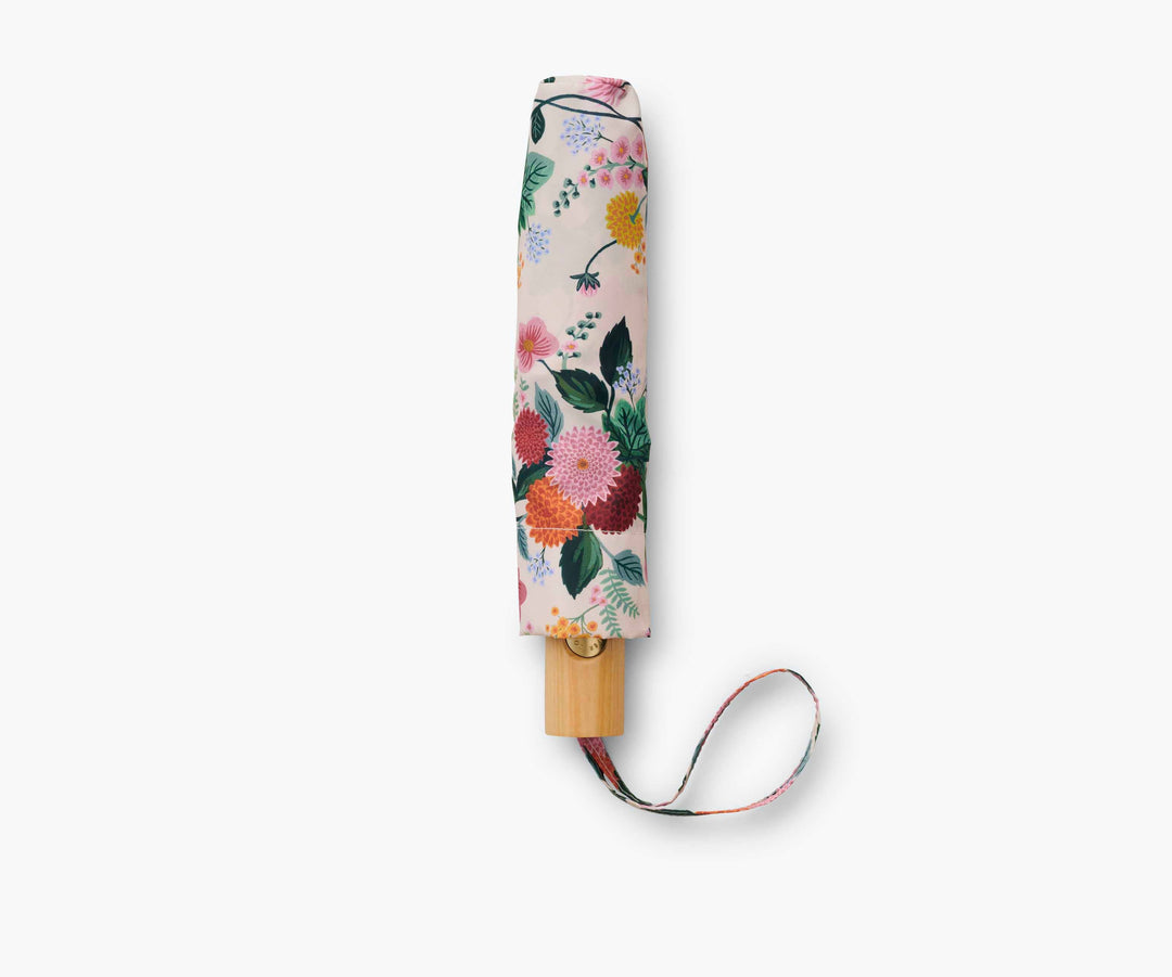 Dahlia Umbrella