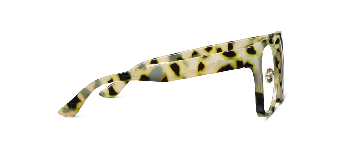 Piper (Blue Light): Coffee / Reading / None