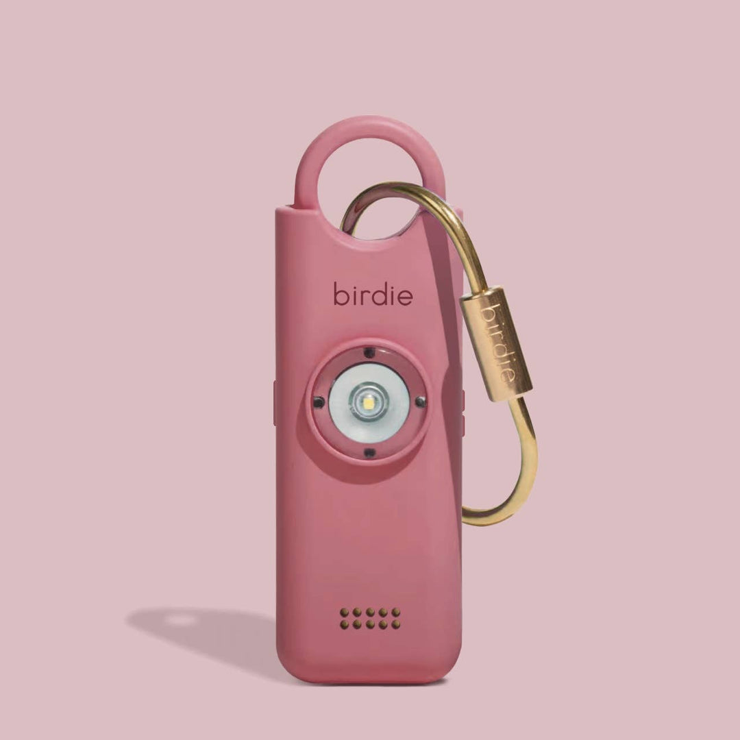 Birdie 3.0: Cheetah