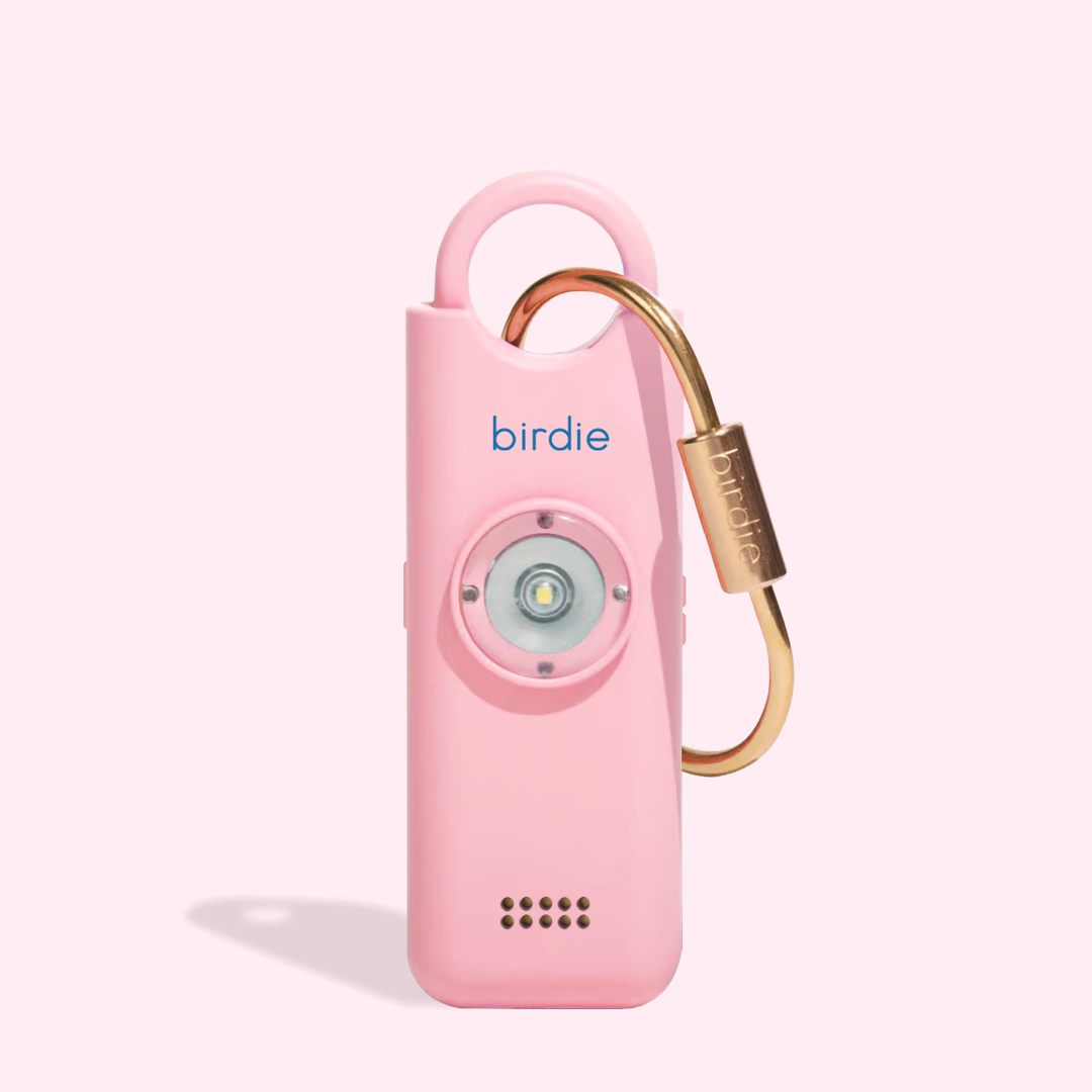 Birdie 3.0: Cheetah