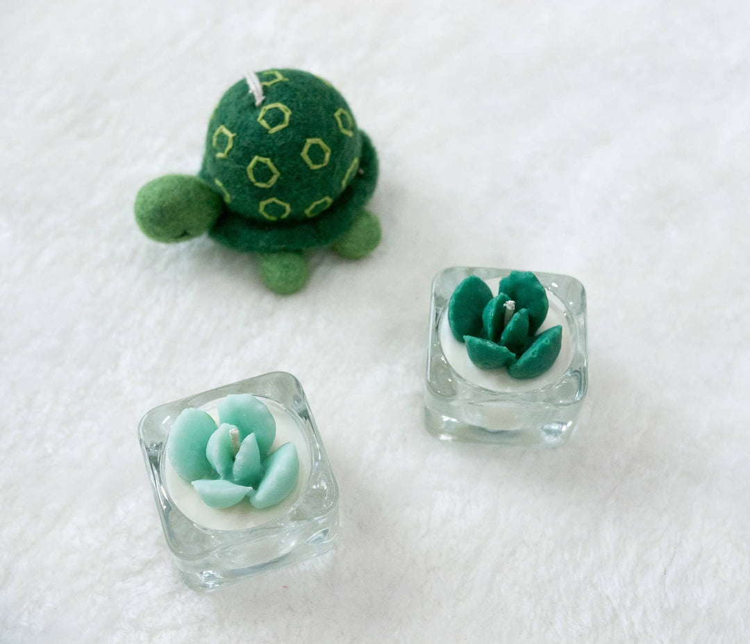 Mint Succulent Tealight Candles | Soy Blend / Bear Paw Succulent