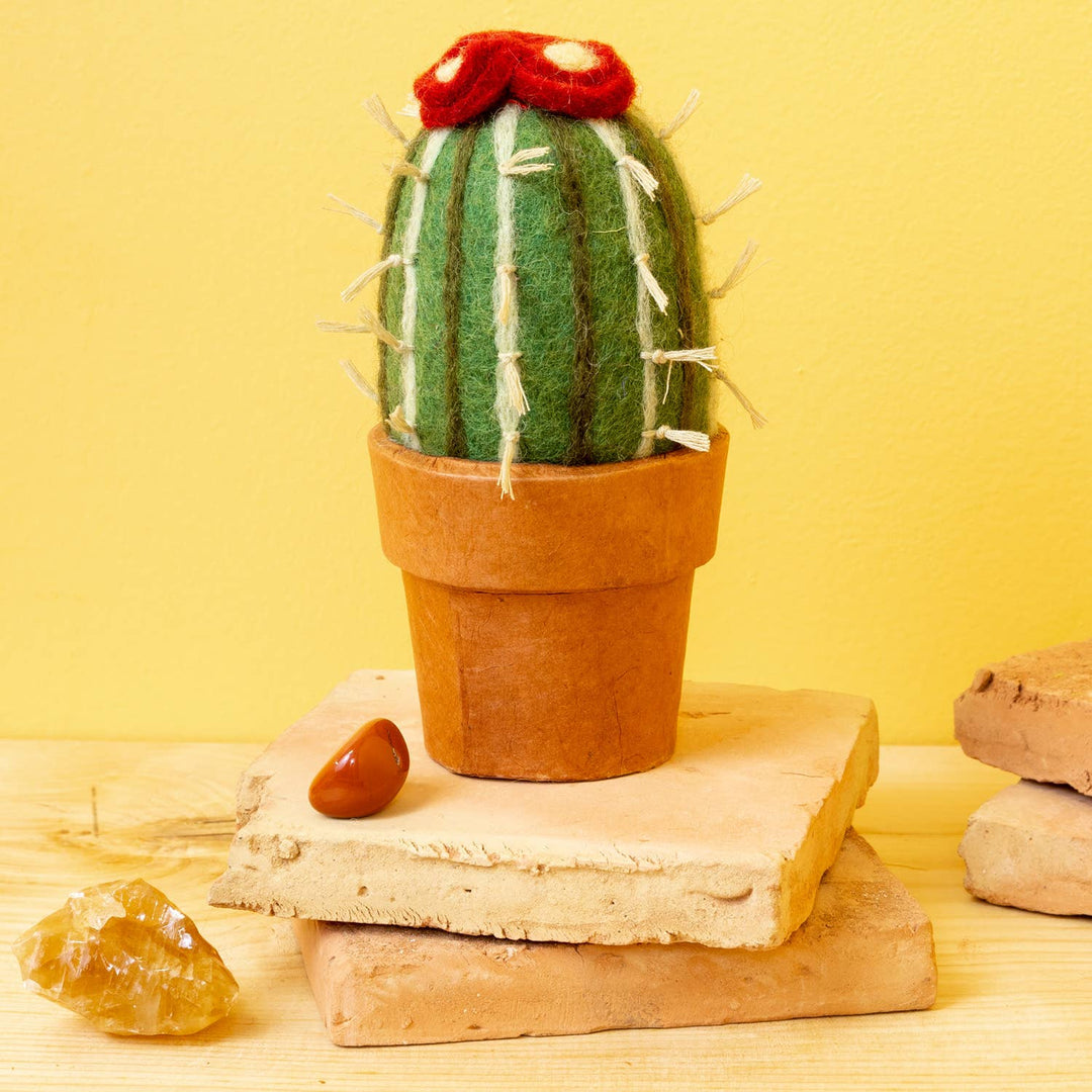 Small Barrel Cactus