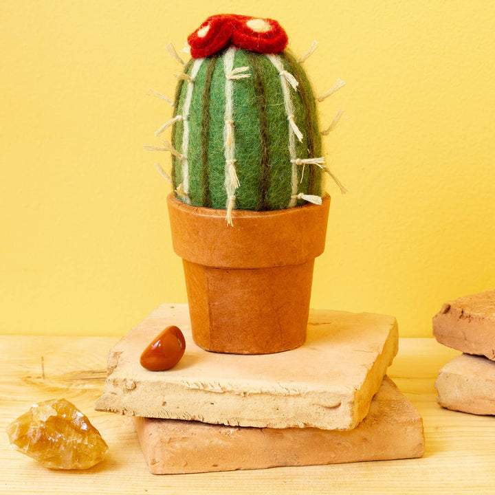 Small Barrel Cactus